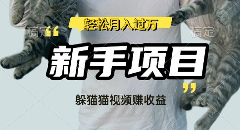 利用老外躲猫猫大赛视频，挣分成收益，操作简单，新手小白，轻松月入过W-智富思维学堂