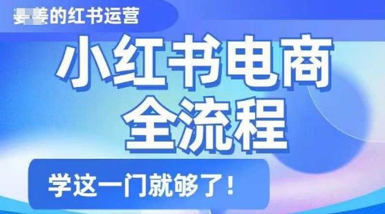小红书电商全流程，精简易懂，从入门到精通，学这一门就够了-智富思维学堂