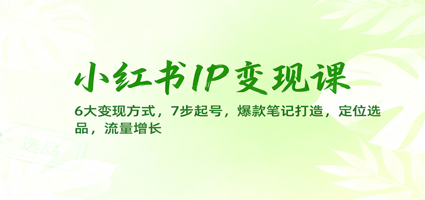 小红书IP变现课:6大变现方式,7步起号,爆款笔记打造,定位选品,流量增长-智富思维学堂