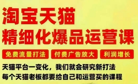 淘宝天猫精细化爆品运营课,免费流量打法-付费广告放大-利润增长-三大核心痛点,一次全部解决-智富思维学堂