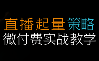 半野老师·直播带货起量与微付费必学课视频号-智富思维学堂