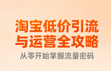淘宝低价引流与运营全攻略(更新9月)-智富思维学堂