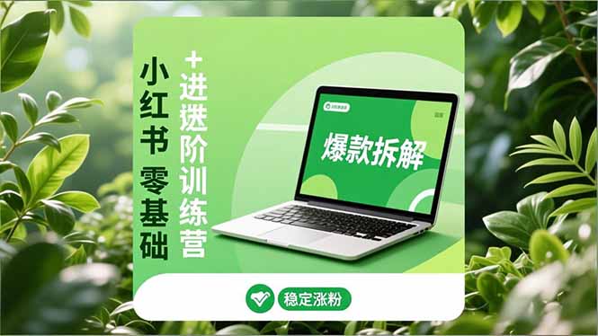 小红书零基础+高阶训练营：安全养号、爆款拆解、长效运营，实现稳定涨粉与变现-智富思维学堂