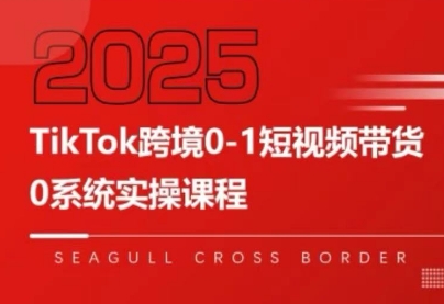 大亿老师·TikTok跨境0-1短视频带货-智富思维学堂