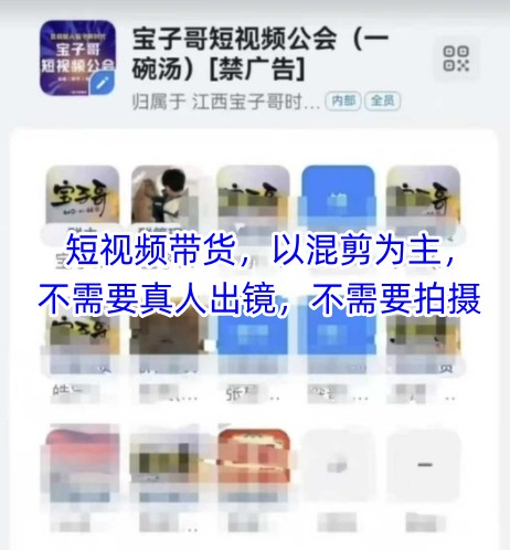 宝子哥头部团队短视频带货,以混剪为主,不需要真人出镜,不需要拍摄【更新11月】-智富思维学堂