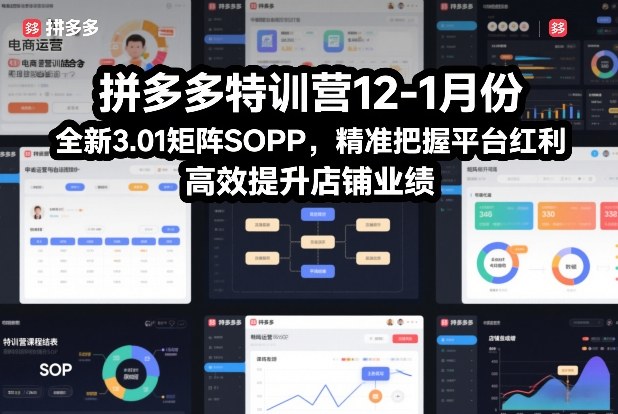 拼多多特训营12-1月份,全新3.01矩阵Sop,精准把握平台红利,高效提升店铺业绩-智富思维学堂