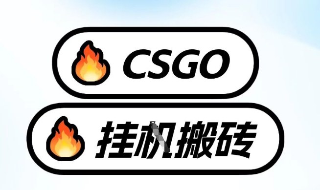 真全网独家CSGO挂G，最新玩法,单日捡漏1K+，不用电脑，不用打游戏【揭秘】-智富思维学堂