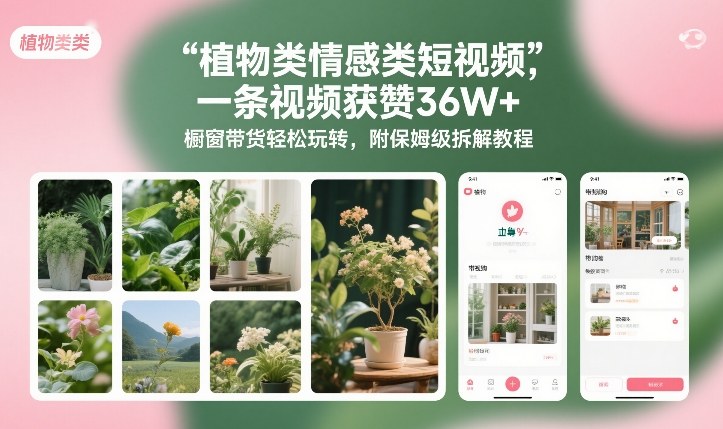 植物类情感类短视频,一条视频获赞36W+,橱窗带货轻松玩转,附保姆级拆解教程-智富思维学堂