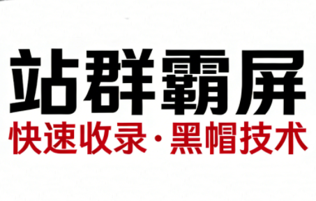 SEO野路子实战全集：快速收录、站群霸屏、黑帽技术(更新)-智富思维学堂