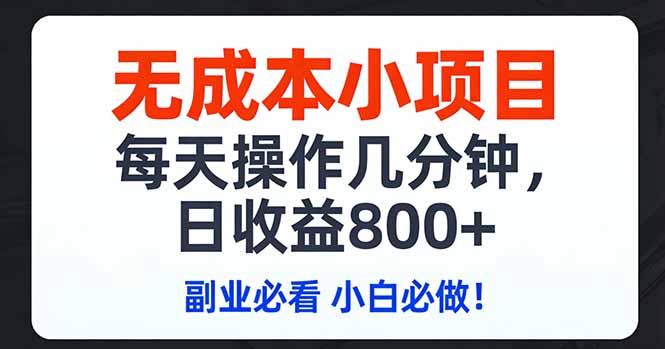无成本小项目,每天操作几分钟,日收益800+ 副业必看 小白必做!-智富思维学堂