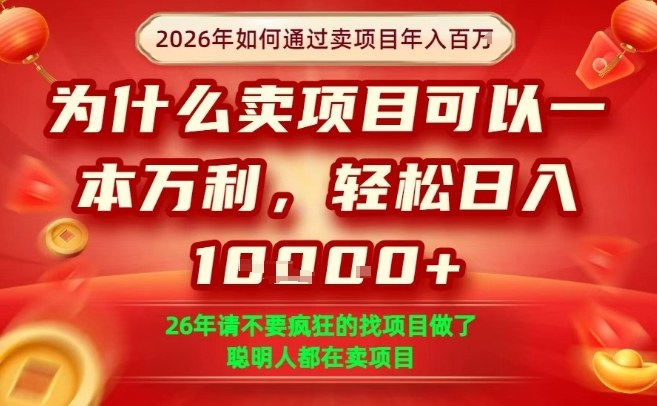 一单净利润1K+，26年想年入100个W，死磕卖项目就够了【揭秘】-智富思维学堂