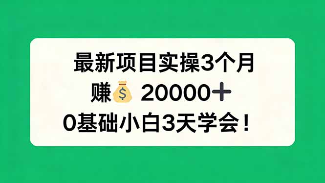最新项目实操3个月，赚钱20000+，0基础小白3天学会！-智富思维学堂