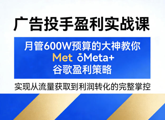 广告投手盈利实战课，月管600W预算的大神教你Meta+谷歌盈利策略，实现从流量获取到利润转化的完整掌控-智富思维学堂