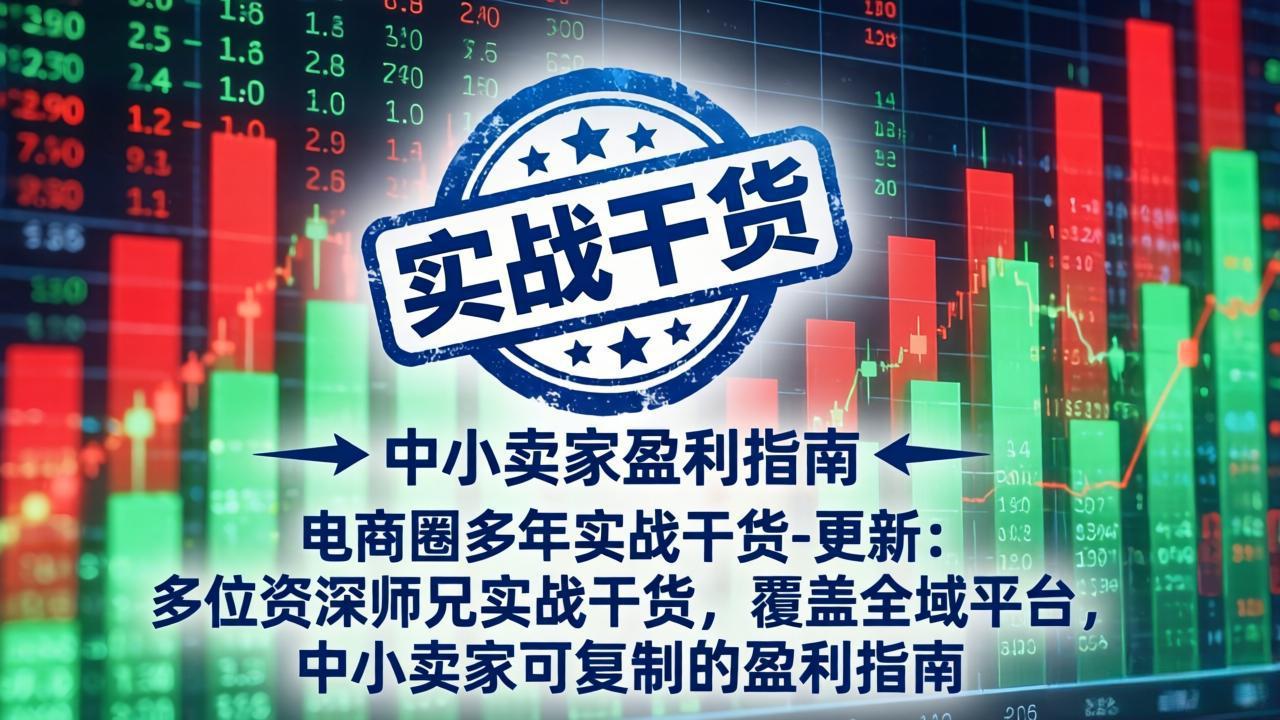 电商圈多年实战干货-更新5月10:多位资深师兄实战干货/覆盖全域平台,中小卖家可复制的盈利指南-智富思维学堂