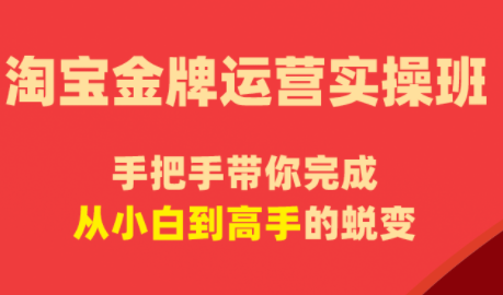 飓风电商·淘宝金牌运营实操班-智富思维学堂