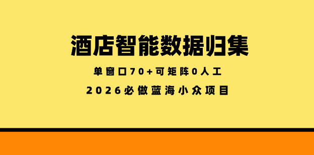 酒店智能数据归集，小众蓝海已经稳定半年之久，单窗口70+零成本矩阵开干【揭秘】-智富思维学堂
