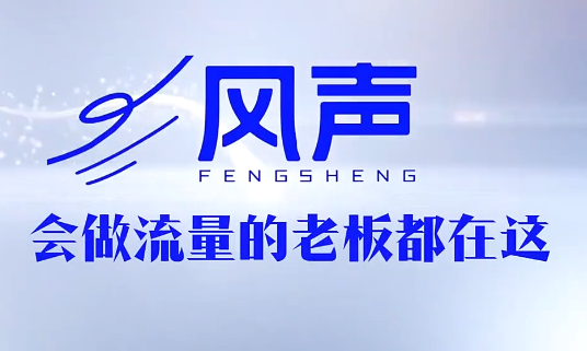董十一·风声短视频AI获客年度会员-智富思维学堂