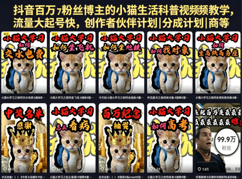 抖音百万粉丝博主的小猫生活科普视频教学,流量大起号快,创作者伙伴计划|分成计划|商单|收徒等-智富思维学堂