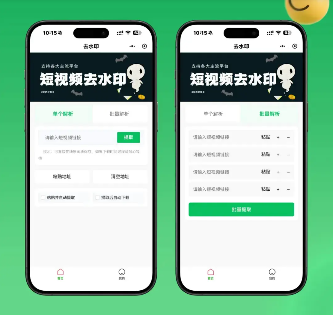 2026最新去水印小程序源码 v1.6.5 带流量主-智富思维学堂