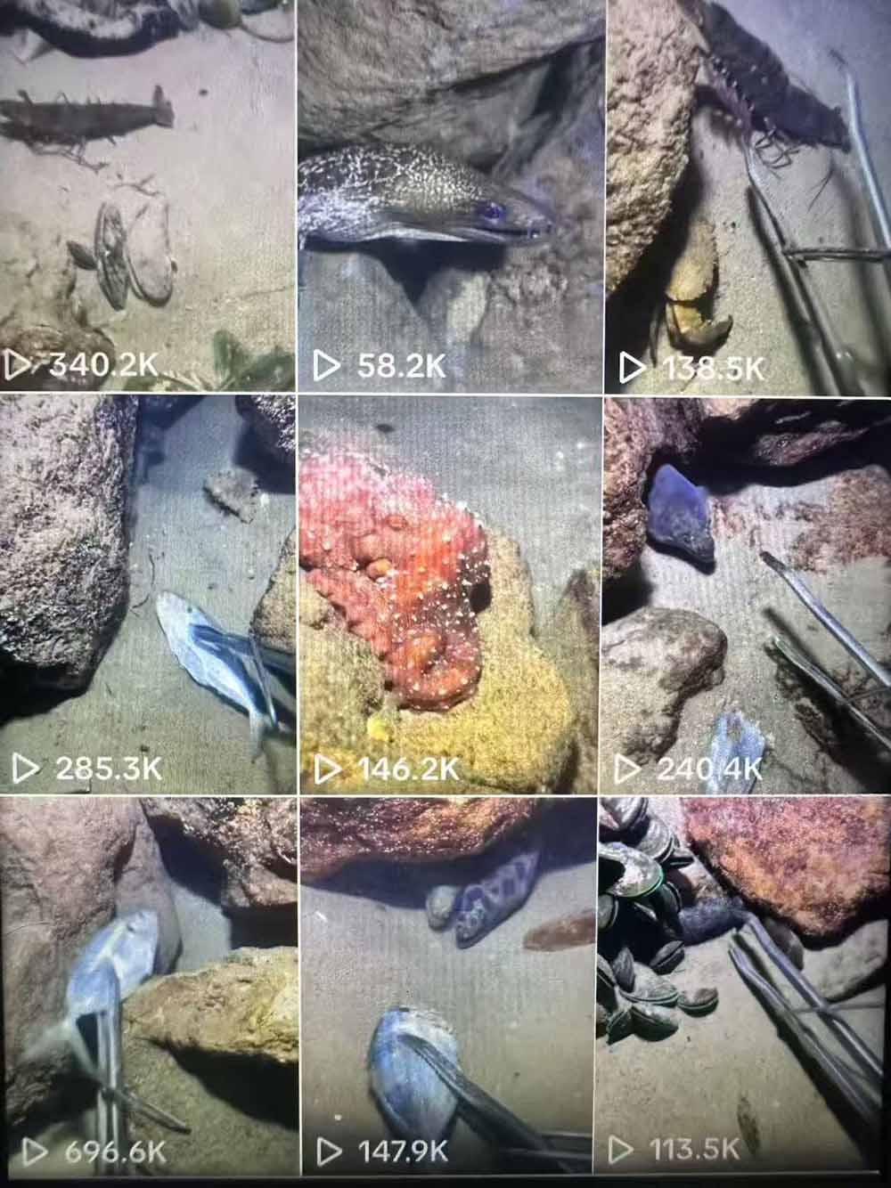 图片[2]-Tiktok中视频解说教程，体育+温情文案双赛道实操教程一站式带你落地-智富思维学堂