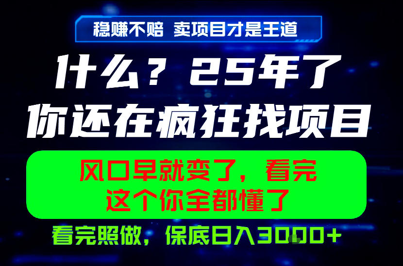 26年,请不要疯狂的找项目做了!卖项目才是真的稳賺不赔,看完照做,保底日入1k+【揭秘】-智富思维学堂