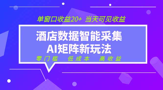 2026酒店数据采集ai智能矩阵新风口  低成本   高收益   当天见收益   单窗口20+-智富思维学堂