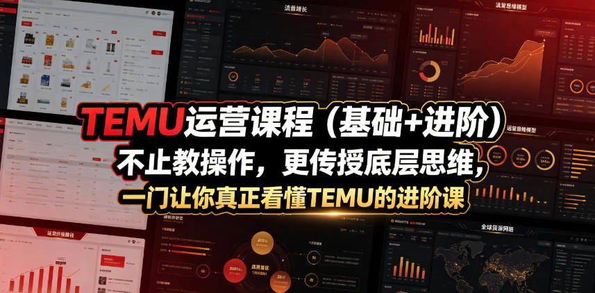 TEMU运营课程(基础+进阶)，不止教操作，更传授底层思维，一门让你真正看懂TEMU的进阶课-智富思维学堂