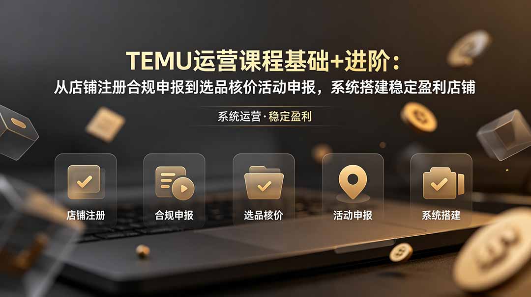 TEMU运营课程(基础+进阶-智富思维学堂