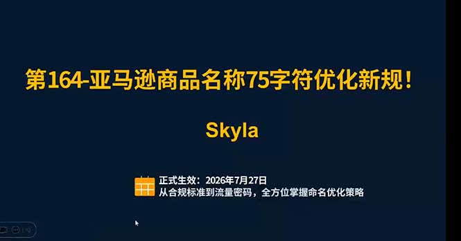 图片[2]-亚马逊跨境实战课：全品类选品逻辑｜SP/SB/SD广告精细化｜新品打爆旺季爆单全套运营教程-智富思维学堂