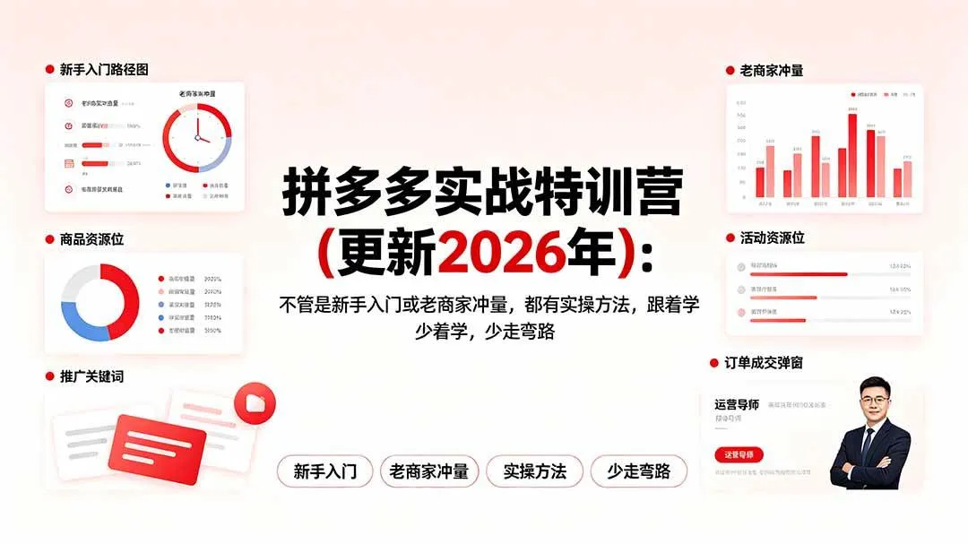 （19724期）拼多多实战特训营(更新2026年)：不管是新手入门或老商家冲量，都有实操方法，跟着学，少走弯路-智富思维学堂