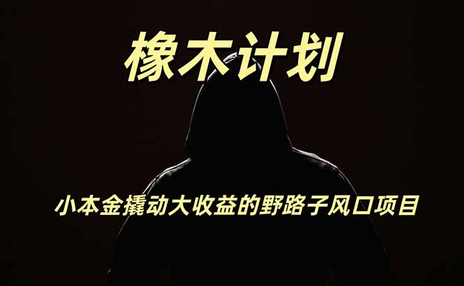 橡木计划，小投入撬动高回报的风口野路子项目，一天投入2小时左右-智富思维学堂