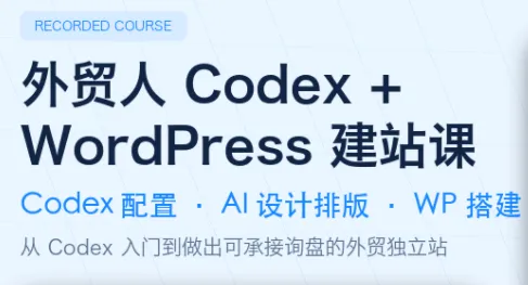 大卫·外贸人Codex + WordPress建站课(更新8月)-智富思维学堂