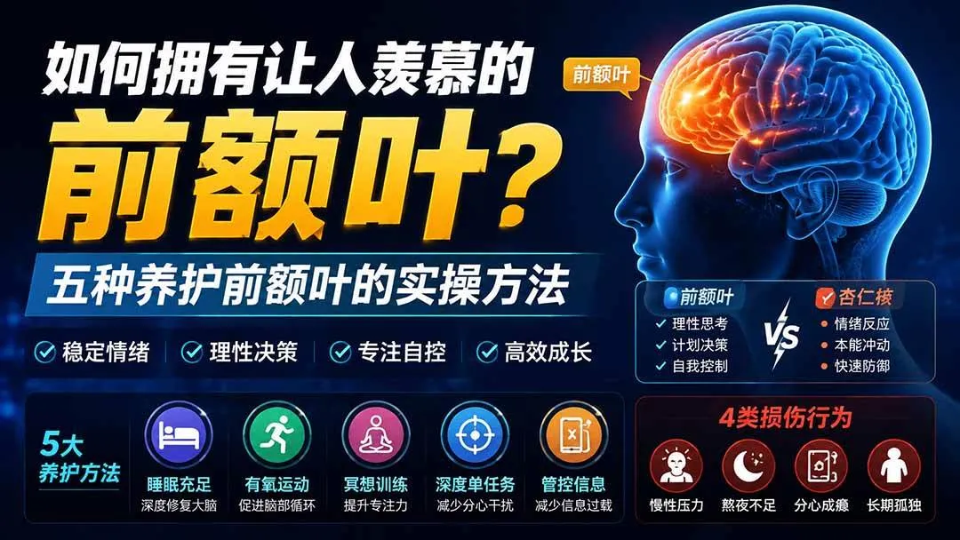（19805期）付费文章：如何拥有让人羡慕的前额叶？五种养护前额叶的实操方法-智富思维学堂