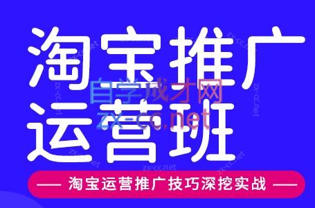 美迪电商·淘宝高级运营班+推广运营班(更新9月)-智富思维学堂