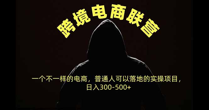 跨境电商联营,一个不一样的电商,普通人可操作日入300-500+-智富思维学堂