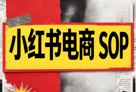 书豪必胜小红书电商sop(更新9月)-智富思维学堂