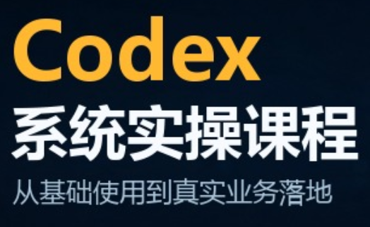 codex系统实操课程(更新10月)-智富思维学堂