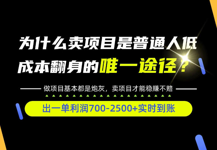 普通人如何靠互联网賺取自己的第一桶金！全类目实操型教学，看完你全都懂了！【揭秘】-智富思维学堂