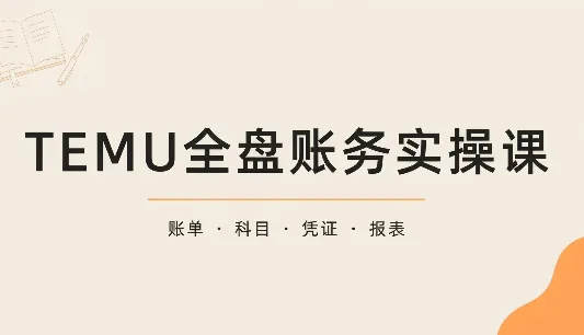 TEMU全盘账务实操课:账单导出、科目设置、利润核算-智富思维学堂