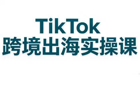 彭老师·TikTok跨境出海实操课-智富思维学堂