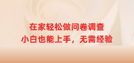 在家轻松做问卷调查，小白也能上手，无需经验-智富思维学堂