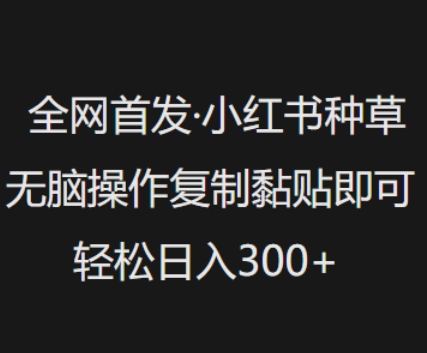 全网首发，小红书种草无脑操作，复制黏贴即可，轻松日入3张-智富思维学堂
