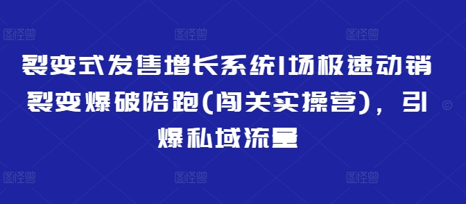 裂变式发售增长系统1场极速动销裂变爆破陪跑(闯关实操营)，引爆私域流量-智富思维学堂
