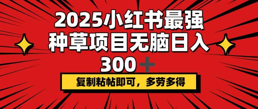 （14375期）2025小红书最强种草项目，无脑日入300+，复制粘帖即可，多劳多得-智富思维学堂