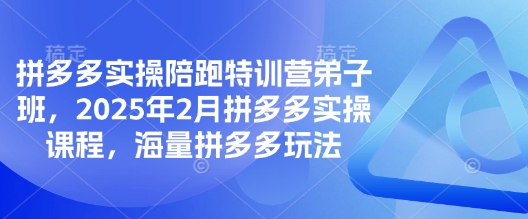拼多多实操陪跑特训营弟子班，2025年2月拼多多实操课程，海量拼多多玩法-智富思维学堂