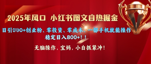 25年风口小红书图文掘金，日引300+创业粉、零投资、零成本、一部手机就能操作-智富思维学堂