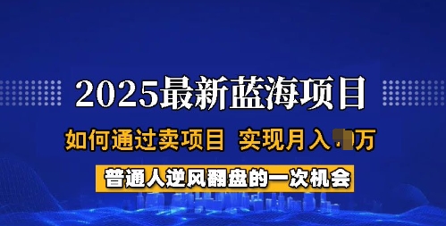 2025蓝海项目，普通人如何通过卖项目，实现月入过W，全过程【揭秘】-智富思维学堂