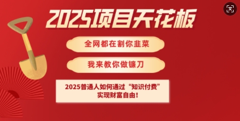 2025项目天花板普通人如何通过知识付费，实现财F自由【揭秘】-智富思维学堂