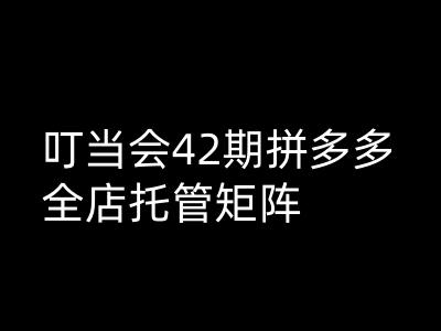 叮当会拼多多打爆班原创高阶技术第42期，拼多多全店托管矩阵-智富思维学堂